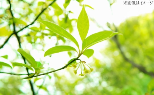 お茶 クロモジ茶（枝）35g×3袋 クロモジ茶 くろもじ茶 国産 黒文字茶 植物由来 ノンカフェイン 無添加 無香料 無着色 リラックス クロモジ 黒文字 茶 ティーバッグ 枝茶 35g 3袋 3個セット 詰め合わせ セット 国産 ノンカフェイン デカフェ カフェインレス ハーブティー 健康茶 リラックス 癒し 香り 芳香 睡眠 おやすみ前 島根県雲南市/有限会社田井産業 [AICY006]