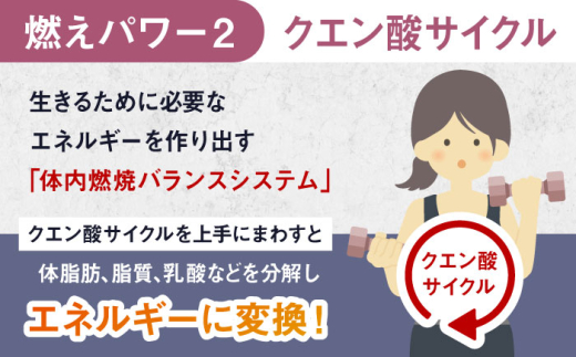 ALPRON SLIM 燃え燃え 450g グレープフルーツ風味 1個 サプリメント フルーツ ダイエット コラーゲン 筋肉 筋トレ 女性 男性 健康 美容 マルチビタミン 置き換え 減量 栄養 運動 スポーツ トレーニング おいしい 飲みやすい 溶けやすい 人気 おすすめ 高評価 間食 アミノ酸 体型維持 身体づくり ビタミン 脂肪燃焼 飲料 島根県雲南市/株式会社アルプロン [AIAL084]