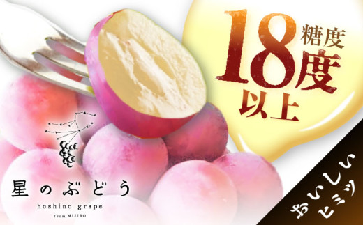 フルーツ【2026年先行予約】【20個限定】【贈答用】リピーターが続出中！クイーンニーナ 1房（約500g）秀品・化粧箱入り  ぶどう 葡萄 皮ごと 種なし 果物 産直 産地直送 旬 限定 先行予約 高級 ギフト 贈答 贈り物 プレミアム マスカット 大粒 甘い デザート スイーツ 雲南 絶品 フルーツ ブドウ ご当地 人気 おすすめ  島根県雲南市/ギアファーム [AIAB005]