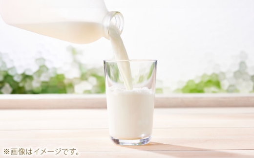 ブラウンスイス牛乳500ｍl 3本セット 牛乳 ミルク 乳製品 生乳 100% 濃厚 島根県雲南市/木次乳業有限会社 [AIBH032]