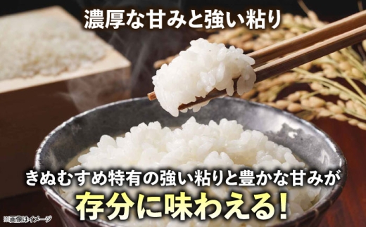 新米【令和8年産】吉田げんき米きぬむすめ 10kg（5kg×2袋）米 こめ おこめ はくまい 白米 ライス げんき米 精米 コメ 10キロ ごはん ご飯 おにぎり お弁当 朝ごはん 便利 朝食 食卓 主食 グルメ おいしい つや あっさり 飽きない もっちり 食感 国産 新生活 一人暮らし 家族 ご当地 ごはんソムリエ おうちごはん おすすめ 人気島根県雲南市/有限会社藤本米穀店 [AIDB130-r8]