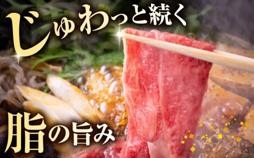 牛肉 奥出雲和牛 切り落とし （400g×1P） / 牛肉 肉 にく お肉  切り落とし 切り落とし肉 400g牛肉 焼肉 やきにく 和牛 わぎゅう 黒毛和牛 ブランド牛 牛肉1パック 冷凍 冷凍配送 贅沢肉 お祝い 贈答 BBQ 切り落とし おかず ご褒美 自宅用?高級牛肉 きりおとし 家庭用 人気 おすすめ牛肉 島根県雲南市/島根県農業協同組合 雲南地区本部 畜産加工所 [AIBQ002]