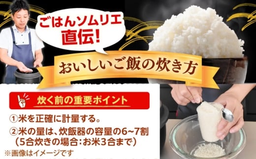 【寄附額改定↓】雲南市産コシヒカリ 5kg 米 お米 白米 精米 おこめ コメ 島根コシヒカリ 5kg袋 おすすめ 人気 お取り寄せ 銘柄米 島根県雲南市/有限会社藤本米穀店 [AIDB105] 5kg