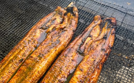 鰻のかば焼き2本 鰻 うなぎ ウナギ かば焼き 土用の丑の日 小分け 惣菜 人気 おすすめ 島根県雲南市/有限会社田丸屋魚店 [AIEH005]