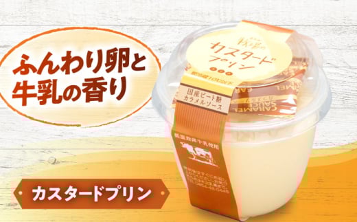 牛乳 【全6回定期便】朝食やおやつに！プリン・ヨーグルト・ノンホモ牛乳 乳製品3種セット 6回 6ヶ月 半年 詰め合わせ 詰合せ セット ギフト 贈り物 プレゼント 木次乳業 プリン ぷりん ヨーグルト 牛乳 ミルク パスチャライズ牛乳 低温殺菌 朝食 おやつ デザート スイーツ 人気 おいしい フレッシュ 定期便 島根 雲南 島根県雲南市/木次乳業有限会社 [AIBH005]