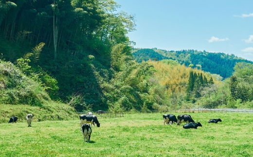 チーズ きすきのナチュラルチーズセットC｜チーズ セット 乳製品 人気 詰め合わせ 食べ比べ チーズセット カマンベール カマンベールチーズ ソフトチーズ イズモ・ラ・ルージュ ゴーダ ゴーダチーズ 木次乳業 きすき 冷蔵 産地直送 お取り寄せグルメ ご当地グルメ ご当地チーズ 国産 国内製造 美味しい おつまみ 熟成 アレンジ 料理 おすすめ?島根県雲南市/木次乳業有限会社 [AIBH041]