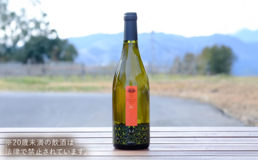 ワイン 奥出雲葡萄園 杜のワイン白? ?国産 ワイン セット 白ワイン 1本 単品 750ml やや甘口 スッキリ 飲みやすい お酒 酒 アルコール 日本ワイン 国産ワイン 地ワイン お取り寄せ 贈り物 プレゼント お祝い 誕生日 記念日 パーティー 人気 おすすめ 送料無料 冷酒 奥出雲 晩酌 家飲み ホームパーティー 女子会 島根県雲南市/有限会社奥出雲葡萄園 [AICS051]