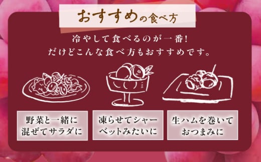 フルーツ【2026年先行予約】【10個限定】【贈答用】期待の新品種！クイーンセブン 1房（約350g）秀品・化粧箱入りぶどう 葡萄 皮ごと 種なし 果物 産直 産地直送 旬 限定 先行予約 高級 ギフト 贈答 贈り物 ブドウ オリジナル化粧箱 ギフト 星のぶどう 夏のギフト 大粒 甘い デザート スイーツ クイーンセブン 雲南 ご当地 島根県雲南市/ギアファーム [AIAB007]