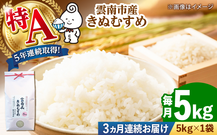 お米【全3回定期便】雲南市産きぬむすめ 5kg 米 こめ おこめ はくまい 白米 ライス 精米 コメ 特A 5キロ 使いやすい ごはん ご飯 おにぎり お弁当 朝ごはん 便利 朝食 食卓 主食 グルメ おいしい つや あっさり 飽きない もっちり 食感 国産 新生活 一人暮らし 家族 ご当地 ごはんソムリエ おすすめ 人気 定期便島根県雲南市/有限会社藤本米穀店 [AIDB102]