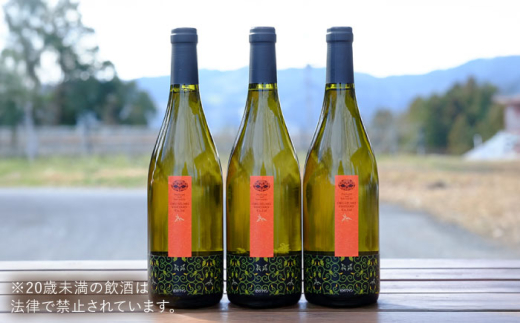 ワイン 奥出雲葡萄園 杜のワイン白　3本セット 国産 ワイン セット 白ワイン 3本 3本セット 詰め合わせ 飲み比べ セット まとめ買い お酒 酒 アルコール 日本ワイン 国産ワイン 地ワイン 750ml やや甘口 スッキリ 飲みやすい お取り寄せ 贈り物 プレゼント お祝い 誕生日 記念日 パーティー 人気 おすすめ 送料無料 島根県雲南市/有限会社奥出雲葡萄園 [AICS052]