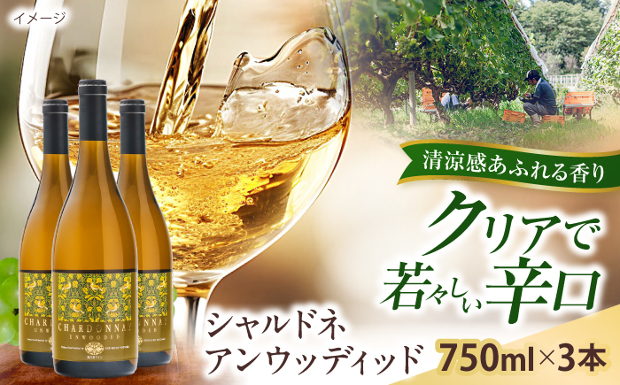 シャルドネアンウッディッド 3本 750ml×3 白ワイン 国産 島根県雲南市/有限会社奥出雲葡萄園 [AICS122]