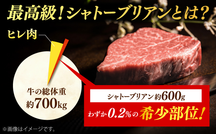 【月10個限定】A4ランク以上 しまね和牛シャトーブリアン 200g×2枚 島根和牛 ブランド牛 ヒレ 牛肉 島根県雲南市/有限会社宮本食肉店 [AIDQ008]