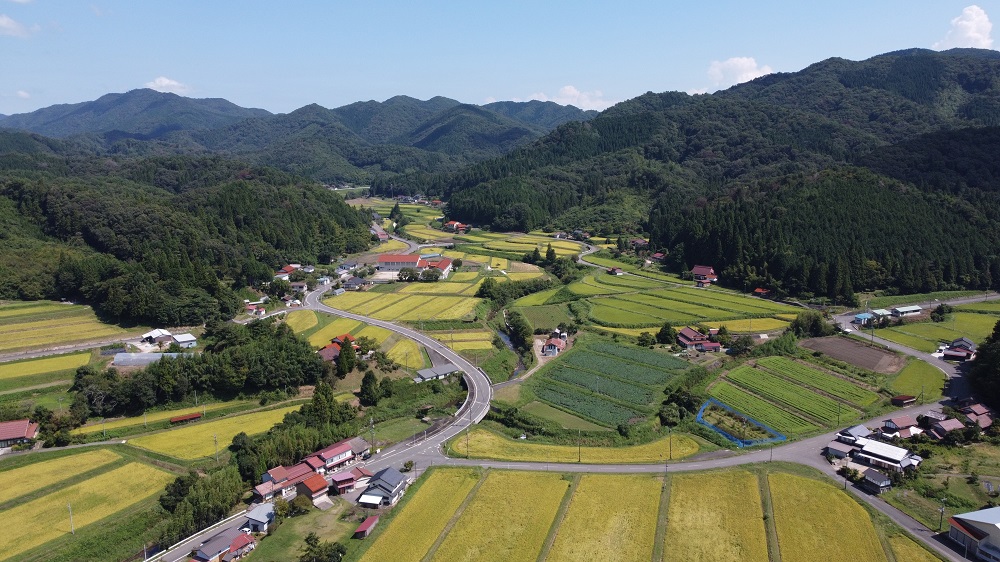 【令和6年度産新米】島根県飯南町産 特別栽培米こしひかり（２kg×４袋） ×６回 【 米 コシヒカリ ブランド米 減農薬 減化学肥料 安心 安全 小分け 便利 贈答用 プレゼント 精米 玄米 選択可能 D-63 】