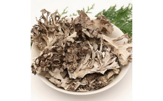 奥出雲そば 一福そばと乾燥舞茸・舞茸めんつゆ・福舞茶セット【奥出雲 生そば 蕎麦 ソバ めんつゆ 舞茸 福舞茶 だし付き ギフト 贈答用 年越しそば 国産 A-40】