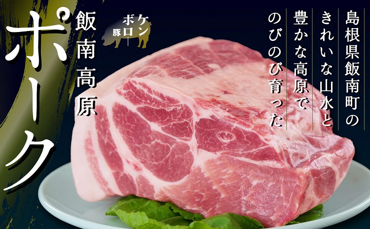 飯南高原ポーク 肩ロース スライス 1kg　【 国産 島根県産 豚肉  鍋 バーベキュー BBQ 冷凍 個包装 小分け 真空パック  肩ロース  スライス 便利 人気  1kg】Ａ-103