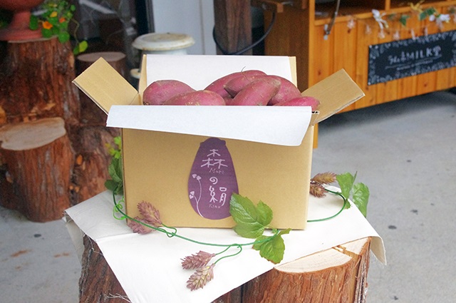 ãã©ã³ããµããã€ã¢ã 森ã®çµ¹ã çã€ã¢ ïŒkgããã€ãŸãã 蟲è¬äžäœ¿çš é«ç³åºŠ è çã -24ã