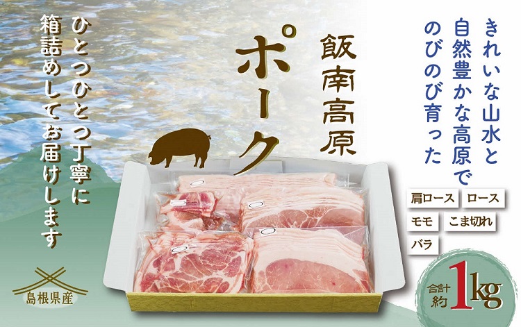 飯南高原ポークお試し5種セット　【 国産 島根県産 豚 肉  鍋 バーベキュー BBQ 冷凍 個包装 小分け 真空パック 豚ロース 豚ばら 豚肩ロース 豚もも 豚こま 切落し スライス 便利 人気 セット 詰め合わせ 1kg】Ａ-75