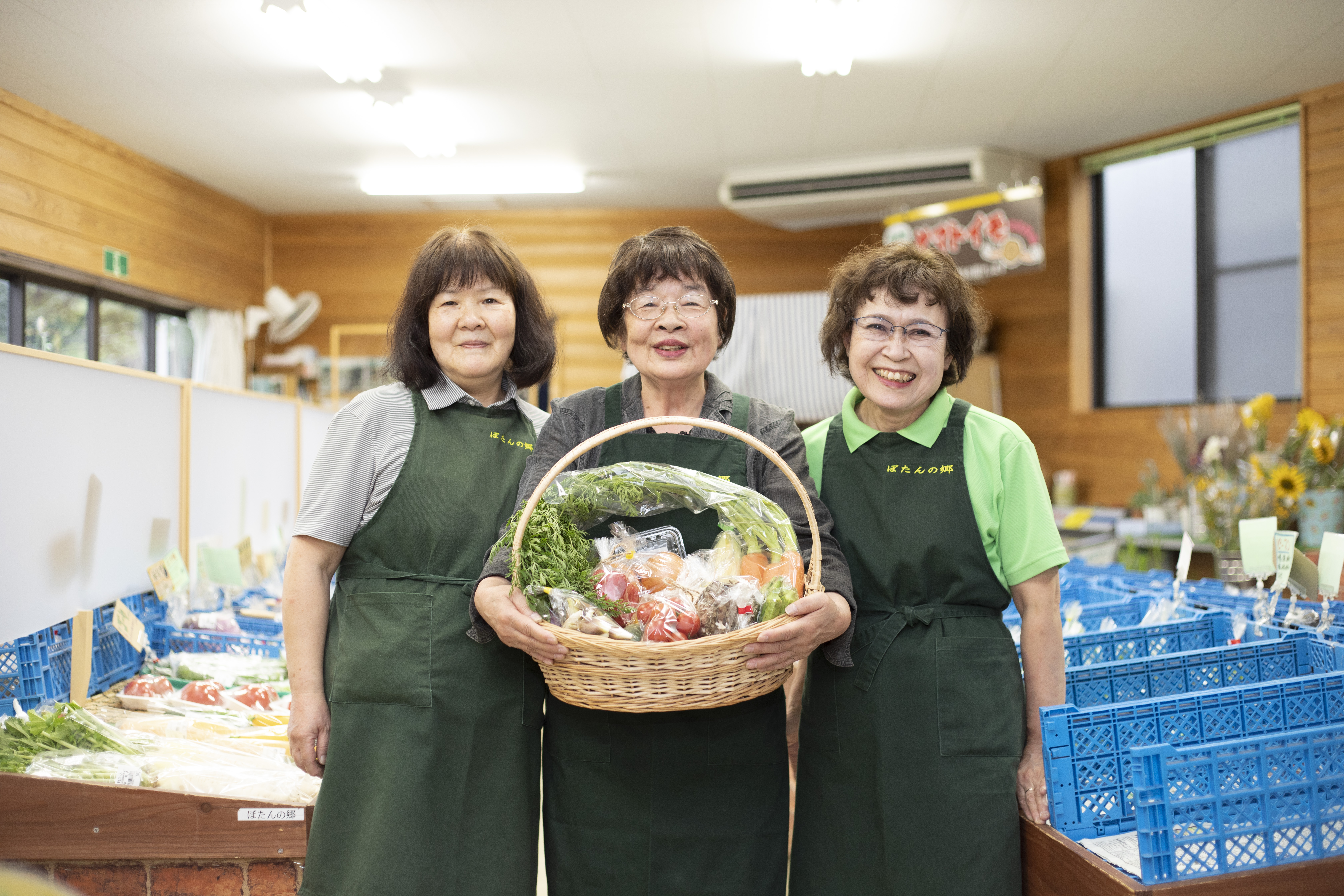 【期間限定】高原の町「飯南町」旬のお野菜セット～いっぺんたべてみんさい♪【 新鮮野菜 高原野菜 旬 特産品 お取り寄せ 少量多品種 少量多品目 おまかせ】