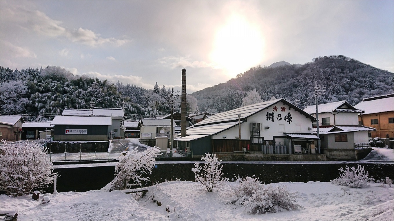 絹乃峰純米大吟醸　四拾720ml贈答用【日本酒 純米大吟醸 島根 地酒 お酒 贈答用 国産米 A-210】