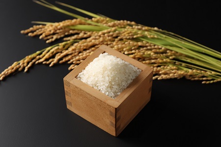 【令和6年度産新米】 島根県飯南町産 特別栽培米こしひかり（２kg×４袋）【 米 コシヒカリ ブランド米 減農薬 減化学肥料 安心 安全 小分け 新米 便利 贈答用 プレゼント 精米 玄米 選択可能 Ａ-66 】