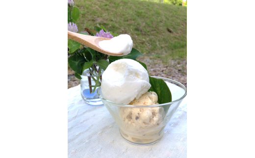 コラボアイス４種セット120ml×60個相当【大容量 パーティー お祭り 自宅用 大満足 季節のアイス C-21】