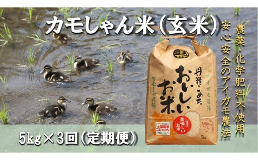 [3回定期便]令和6年度産島根県飯南町産コシヒカリ 「カモしゃん米」(玄米)5kg [ こしひかり お米 農家直送 無農薬 化学肥料不使用 玄米 安心 安全 新米 D-154]