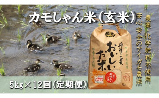 【12回定期便】令和6年度島根県産コシヒカリ 「カモしゃん米」（玄米）5kg 【 こしひかり お米 農家直送 無農薬 化学肥料不使用 安心 安全 新米 D-156 】