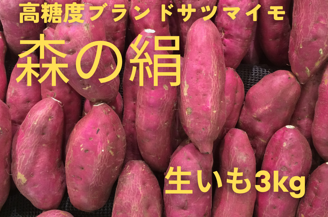 ブランドサツマイモ「 森の絹」 生イモ ３kg【さつまいも 農薬不使用 高糖度 蜜 甘い Ａ-24】