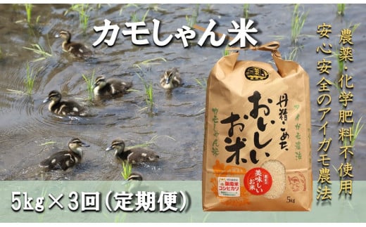 [3回定期便]令和6年度産島根県飯南町産コシヒカリ 「カモしゃん米」(精米)5kg [ こしひかり お米 農家直送 無農薬 化学肥料不使用 精米 安心 安全 新米 D-53]