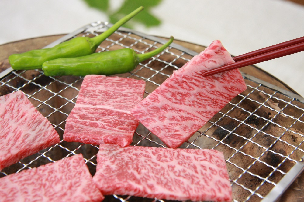 奥出雲和牛肩ロース焼肉用550g【牛肉 霜降り 肩ロース BBQ しまね和牛 黒毛和牛 贈答用 冷蔵 チルド 日時指定Ｂ-10】