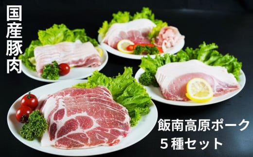 飯南高原ポークお試し5種セット　【 国産 島根県産 豚 肉  鍋 バーベキュー BBQ 冷凍 個包装 小分け 真空パック 豚ロース 豚ばら 豚肩ロース 豚もも 豚こま 切落し スライス 便利 人気 セット 詰め合わせ 1kg】Ａ-75