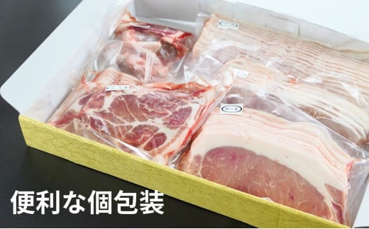 飯南高原ポークお試し5種セット　【 国産 島根県産 豚 肉  鍋 バーベキュー BBQ 冷凍 個包装 小分け 真空パック 豚ロース 豚ばら 豚肩ロース 豚もも 豚こま 切落し スライス 便利 人気 セット 詰め合わせ 1kg】Ａ-75