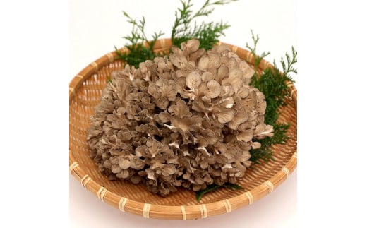 奥出雲そば 一福そばと乾燥舞茸・舞茸めんつゆ・福舞茶セット【奥出雲 生そば 蕎麦 ソバ めんつゆ 舞茸 福舞茶 だし付き ギフト 贈答用 年越しそば 国産 A-40】