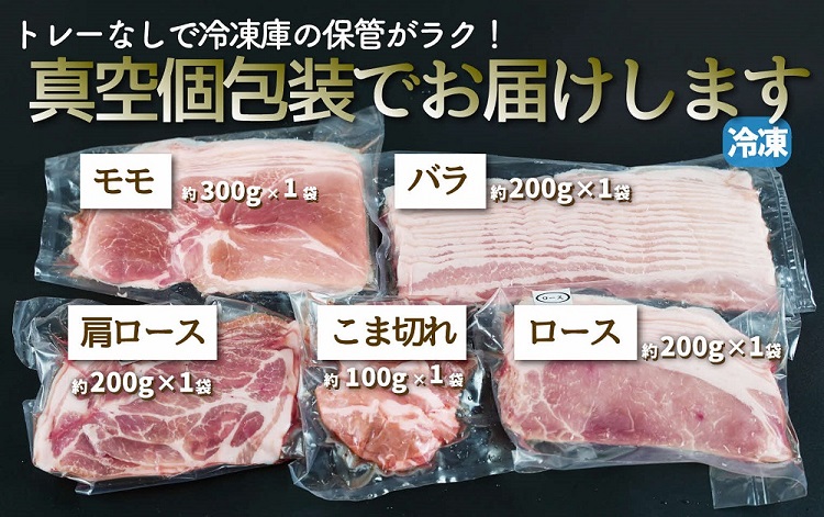 飯南高原ポークお試し5種セット　【 国産 島根県産 豚 肉  鍋 バーベキュー BBQ 冷凍 個包装 小分け 真空パック 豚ロース 豚ばら 豚肩ロース 豚もも 豚こま 切落し スライス 便利 人気 セット 詰め合わせ 1kg】Ａ-75