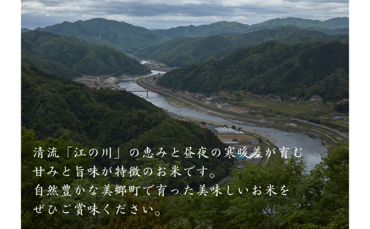 【令和7年産　数量限定】 島根県美郷町産 無洗米きぬむすめ 5kg【お米 5kg 精米 白米 ブランド米 米 きぬむすめ お米 2025年産】