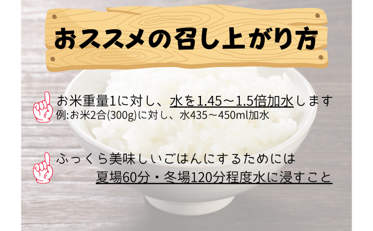 【令和7年産　数量限定】 島根県美郷町産 無洗米きぬむすめ 5kg【お米 5kg 精米 白米 ブランド米 米 きぬむすめ お米 2025年産】