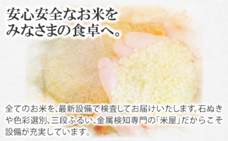 〈先行予約〉新米 令和6年産 美郷町産コシヒカリ 白米 10kg【お米 10kg 1袋 精米 ブランド米 米 こしひかり お米 先行予約 2024年産】