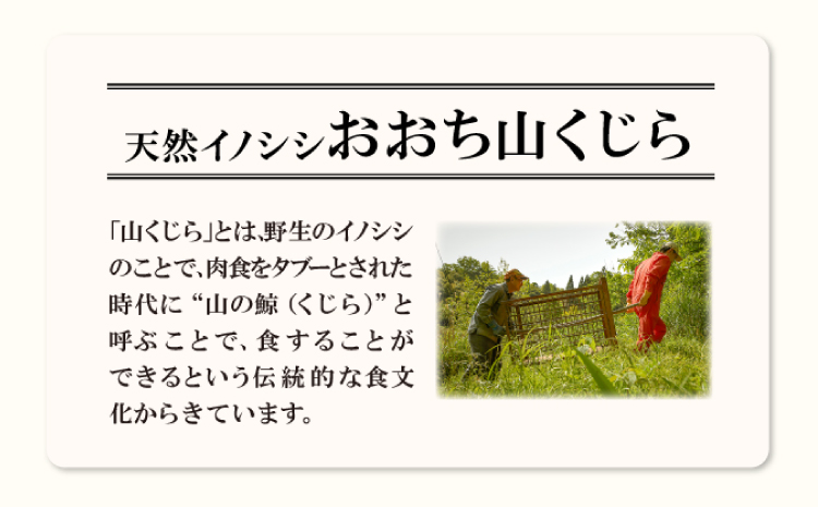 猪肉と大豆のキーマカレー8缶セット【720g 90g×8缶 猪肉 大豆 肉 イノシシ肉 加工食品 カレー キーマカレー 在来大豆 天然イノシシ 缶詰 簡単調理 温めるだけ ご当地カレー】