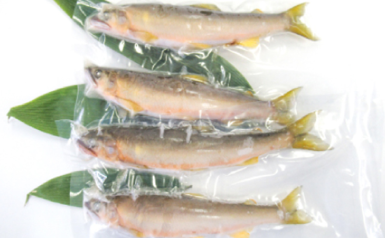 【一級河川・江の川の恵み】島根県産　天然冷凍鮎　約800g【魚介類 魚 川魚 あゆ アユ 天然 冷凍あゆ 高鮮度 冷凍 小分け 便利 期間限定 季節限定 数量限定 夏季限定】