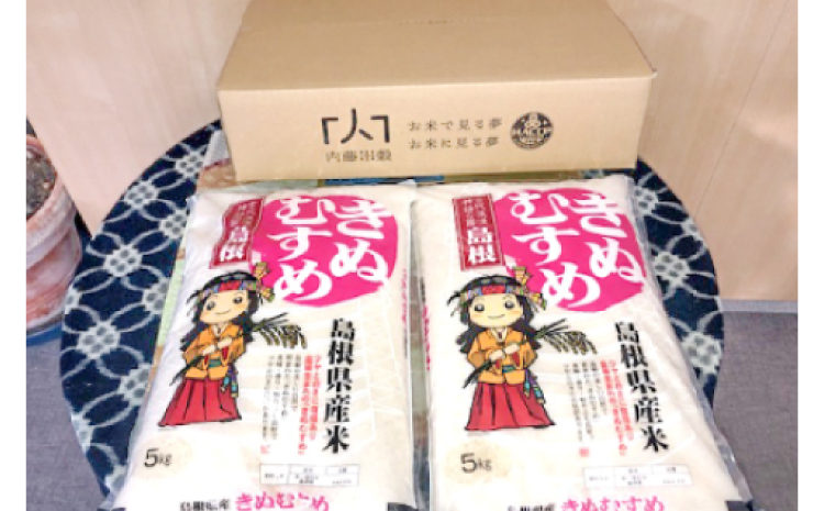 令和6年産 美郷きぬむすめ 10kg（5kg×2袋）【米 お米 精米 白米 ブランド米 きぬむすめ 10kg 5kg×2袋 2024年産】