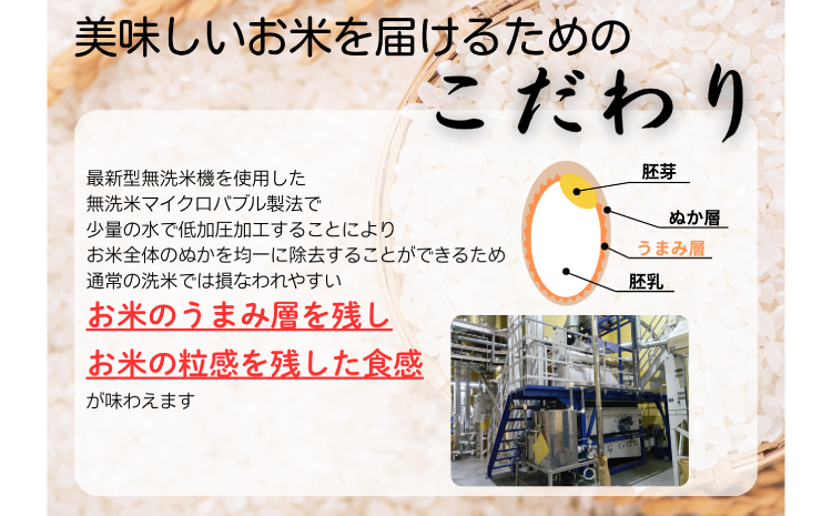【令和7年産　数量限定】 島根県美郷町産 無洗米きぬむすめ 5kg【お米 5kg 精米 白米 ブランド米 米 きぬむすめ お米 2025年産】