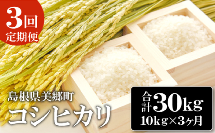 【定期便3ヶ月】令和6年産 石見地方 美郷町産 コシヒカリ 10kg【令和6年度産 定期便 3回定期 米 精米 白米 ブランド米 こしひかり 10kg×3回 合計30kg 2024年産】