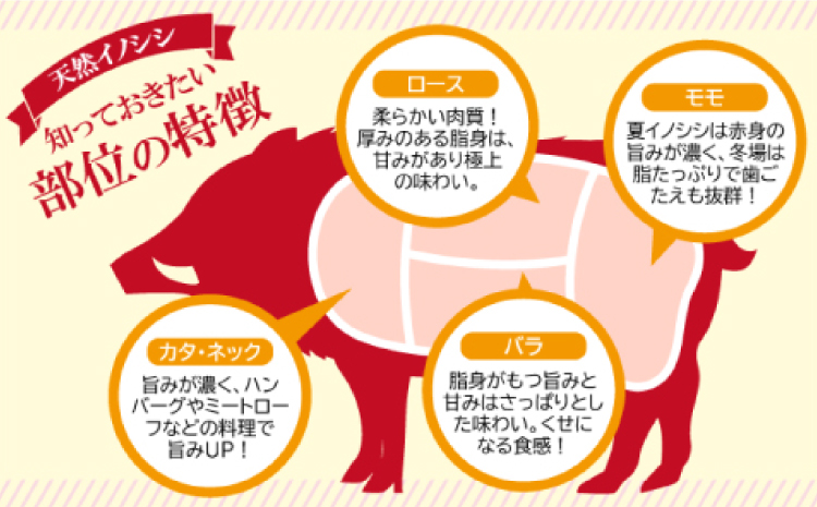 おおち山くじら（イノシシ肉）味噌すき鍋セット 約400g【冬猪肉 ロース 200g 夏猪肉 モモ 200g 肉 猪肉 いのしし肉 イノシシ肉 鍋 すき鍋 ぼたん鍋 味噌 みそ ミソ ジビエ鍋 冷凍 真空パック】