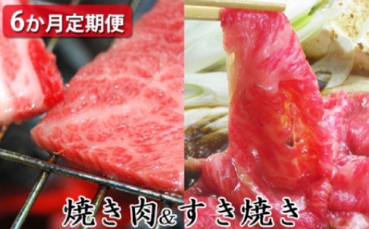 【定期便6ヶ月】石見和牛でちょっと贅沢！焼肉・すき焼き定期便（合計約2.6kg）【定期便 6回 和牛 黒毛和牛 ミックス 肩ロース ロース すき焼き用 焼肉用 スライス スライス肉 肉 牛肉 ブランド牛 石見和牛 希少 雌牛 メス牛 血統 最高級 贅沢 ご褒美 毎月お届け 定期 おかず すき焼き 焼き肉 焼肉 贈答 お祝い ギフト プレゼント 冷蔵 チルド】