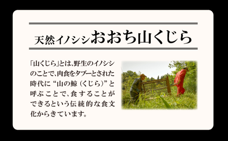 イノシシ肉のハンバーグ 4袋セット【ハンバーグ 75g×8個 2個入り×4袋 肉 猪肉 100%使用 加工品 冷凍食品 冷凍のまま調理可能 ソース不要 調味料不要 簡単調理 ジビエ 蒸し焼き 初心者におすすめ】