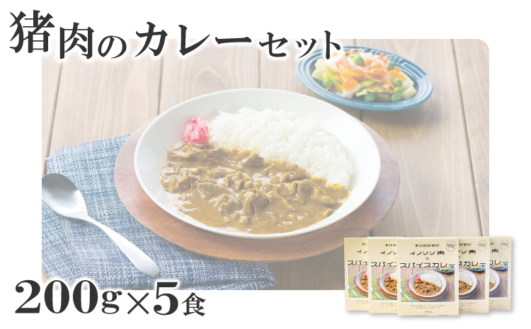 イノシシ肉のカレーセット【スパイスカレー 200g×5個 肉 イノシシ肉 天然 ジビエ 加工食品 レトルト 温めるだけ 簡単調理 気軽】