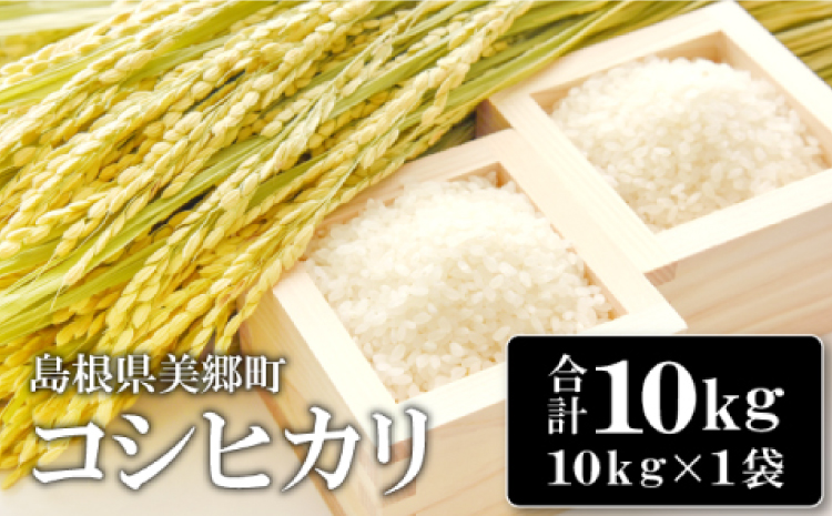 〈先行予約〉新米 令和6年産 美郷町産コシヒカリ 白米 10kg【お米 10kg 1袋 精米 ブランド米 米 こしひかり お米 先行予約 2024年産】