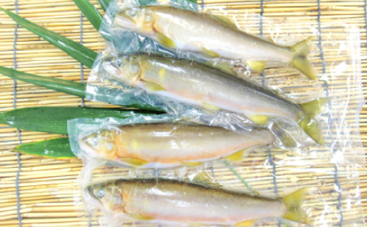 【一級河川・江の川の恵み】島根県産　天然冷凍鮎　約800g【魚介類 魚 川魚 あゆ アユ 天然 冷凍あゆ 高鮮度 冷凍 小分け 便利 期間限定 季節限定 数量限定 夏季限定】