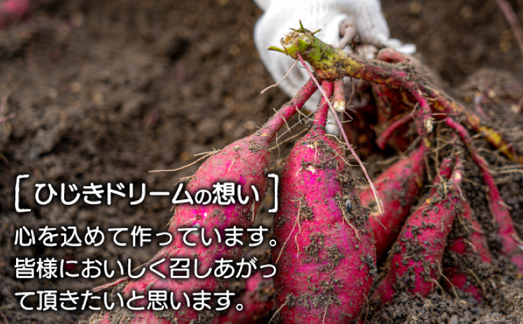 干し芋 紅はるか 1.2kg (200g×6袋）【干しいも 1.2キロ 200グラム 6袋 お菓子 菓子 和菓子 おやつ デザート 加工食品 ほしいも 野菜 さつまいも サツマイモ 紅はるか 小分け 個包装 人気 真空包装 真空パック】