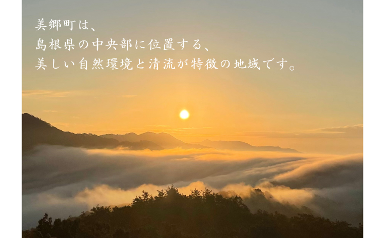 【令和7年産　数量限定】 島根県美郷町産 無洗米きぬむすめ 5kg【お米 5kg 精米 白米 ブランド米 米 きぬむすめ お米 2025年産】